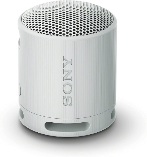 Sony SRS-XB100 тонколона сив