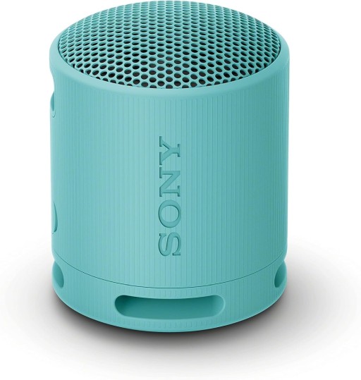 Sony SRS-XB100 тонколона син
